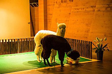 夏日游戏节：开放世界沙盒《太空垃圾拾荒者》公布